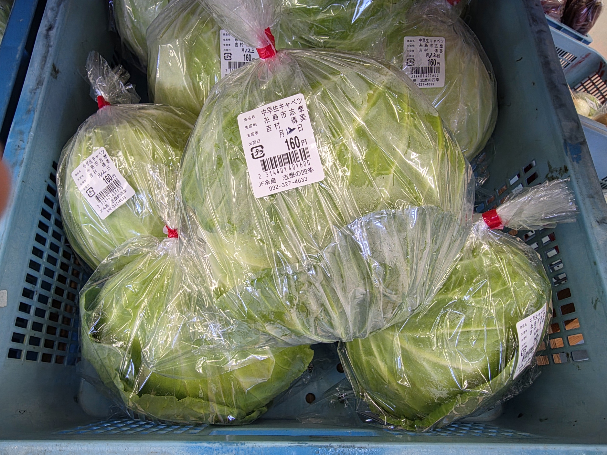 本日の入荷情報♪ | 志摩の四季