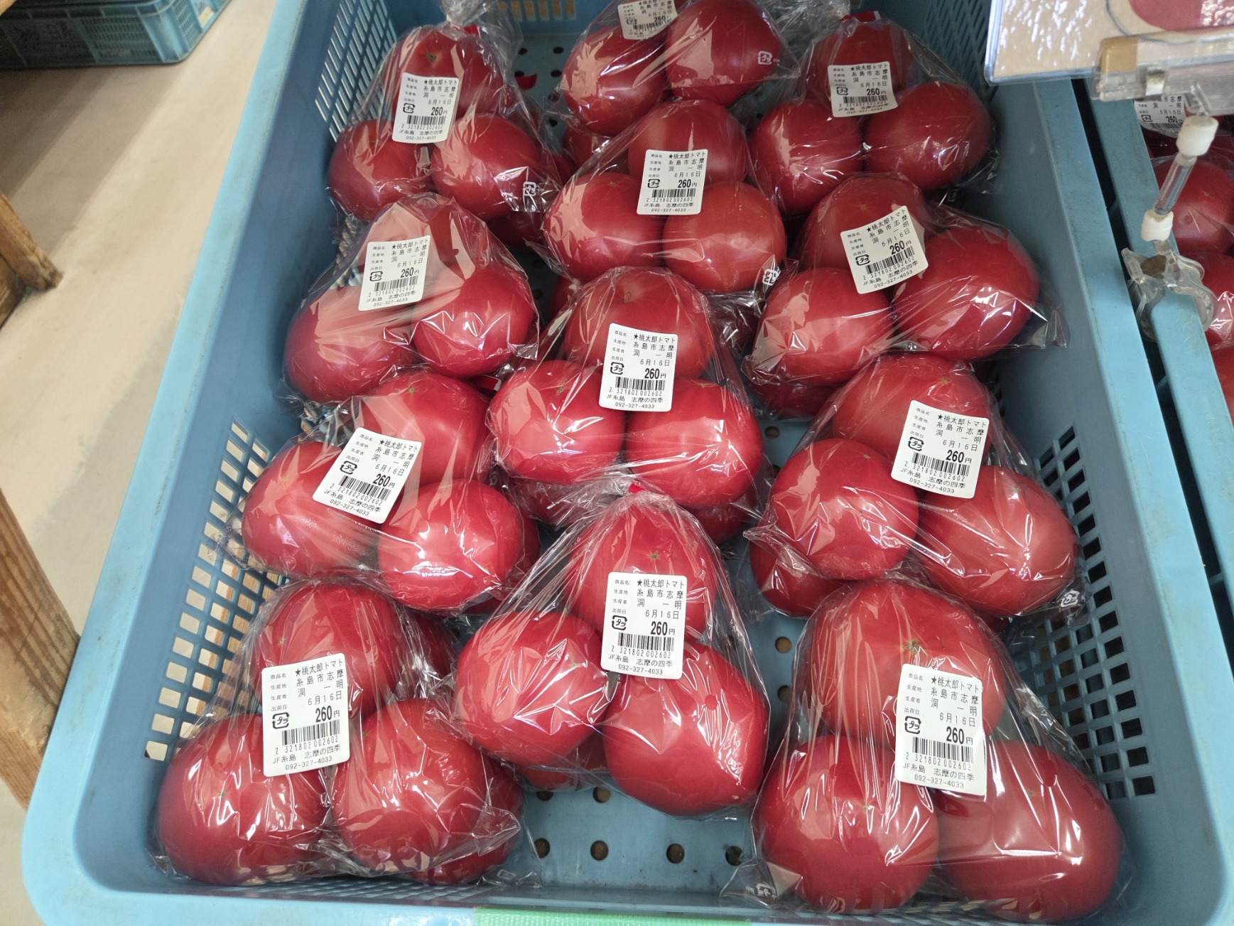 本日の入荷状況！ | 志摩の四季